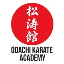 Karate for Kids and Adults (split classes)